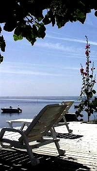 contraste: plus &eacute;lev&eacute;